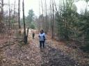 Прогулка по лесу 25 января