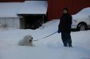 Оля и Шарик на снегу