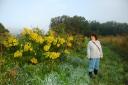 Goldenrod
